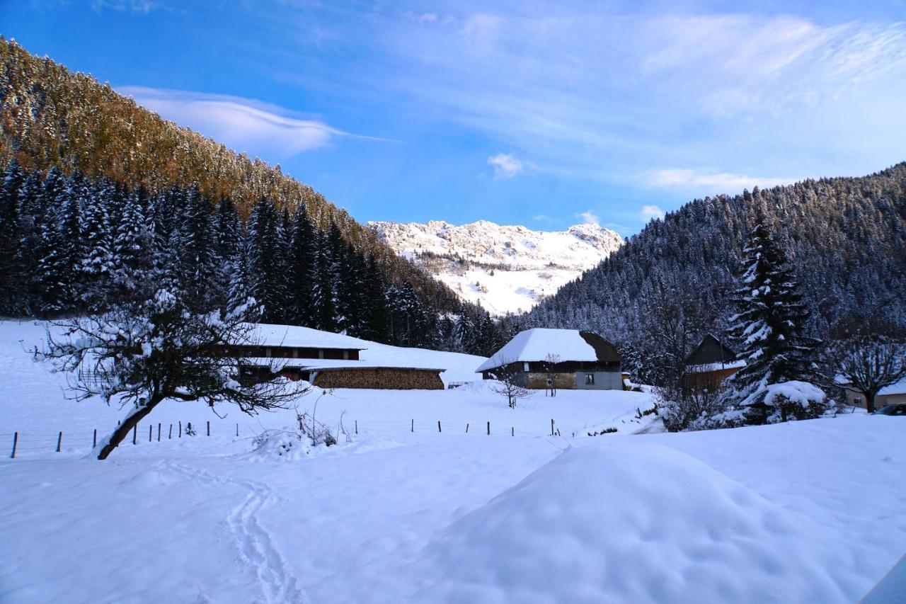 Вілла La Grange Au Ruisseau Bellecombe-en-Beauges Екстер'єр фото
